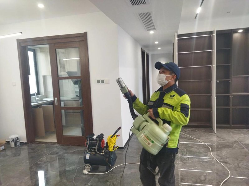办公室除甲醛选购指南：打造清新工作环境